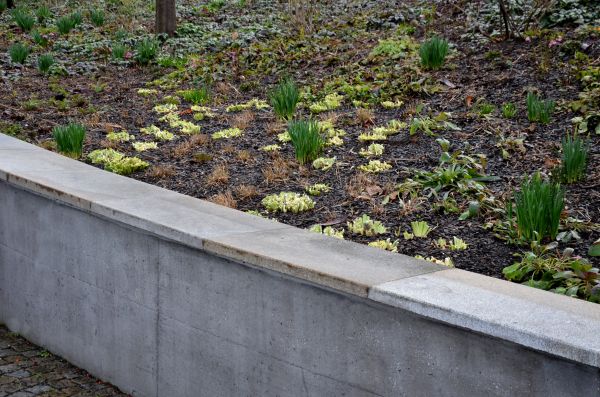 Concrete Wall Construction in Vista