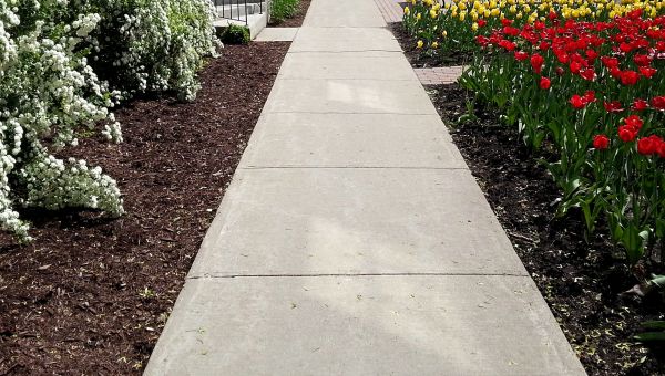 Concrete Sidewalk Service in Vista