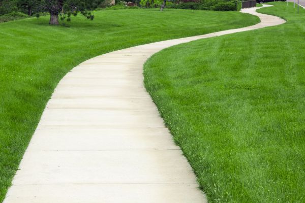 Pathway Replacement in Vista