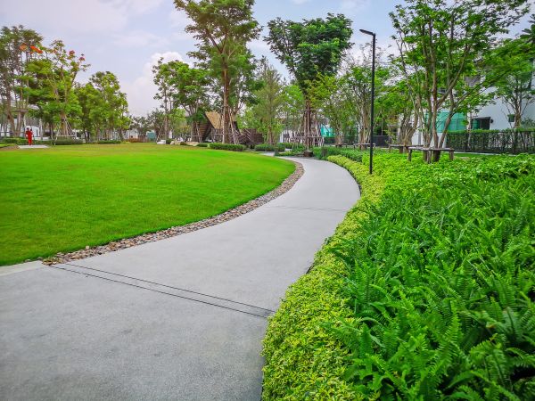 Cement Walkway Service in Vista