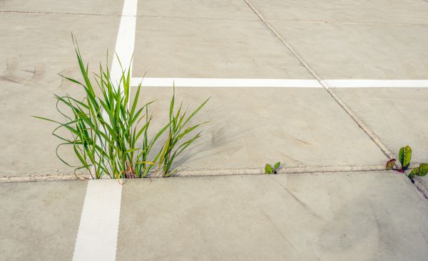 Concrete Parking Installation in Vista