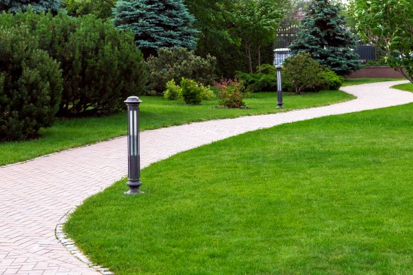 Backyard Sidewalk Installation in Vista