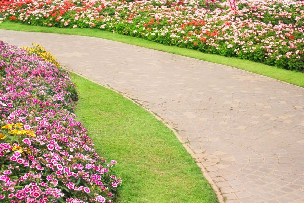 Concrete Walkway Service in Vista