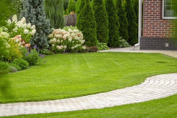 Landscape Walkway Installation in Vista
